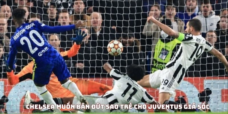 Chelsea muốn bán đứt sao trẻ cho Juventus với giá sốc