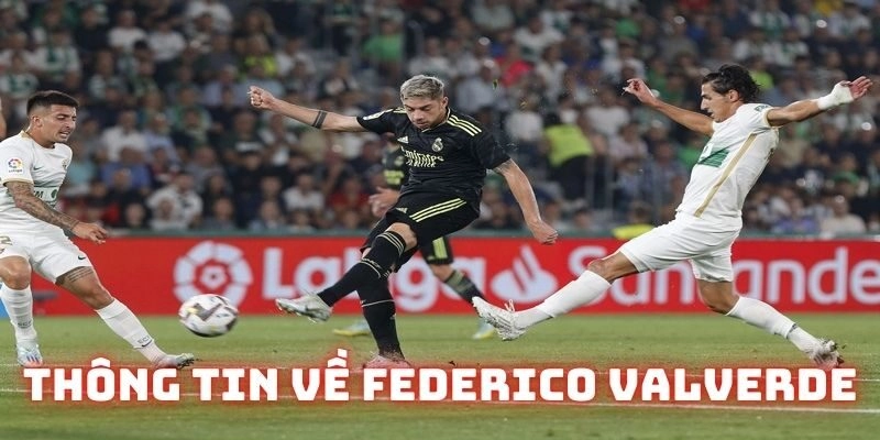 Thông tin về cầu thủ trẻ Federico Valverde