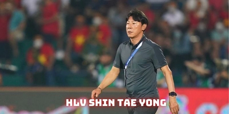 hlv-shin-tae-yong-dai-dien